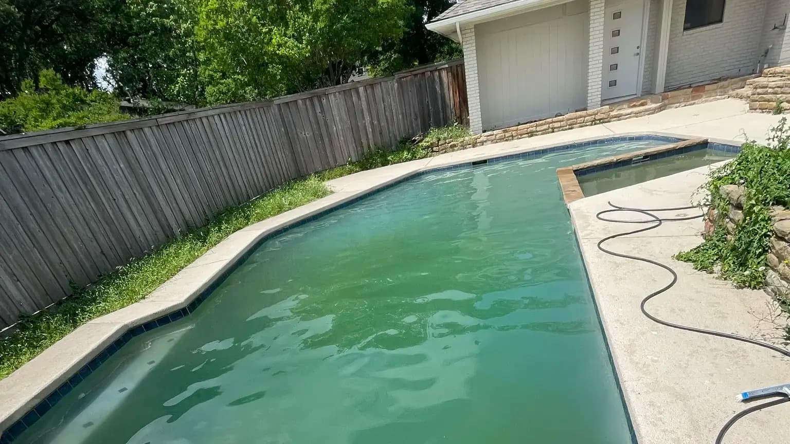 Backyard pool with diving board and dark green water before cleanup