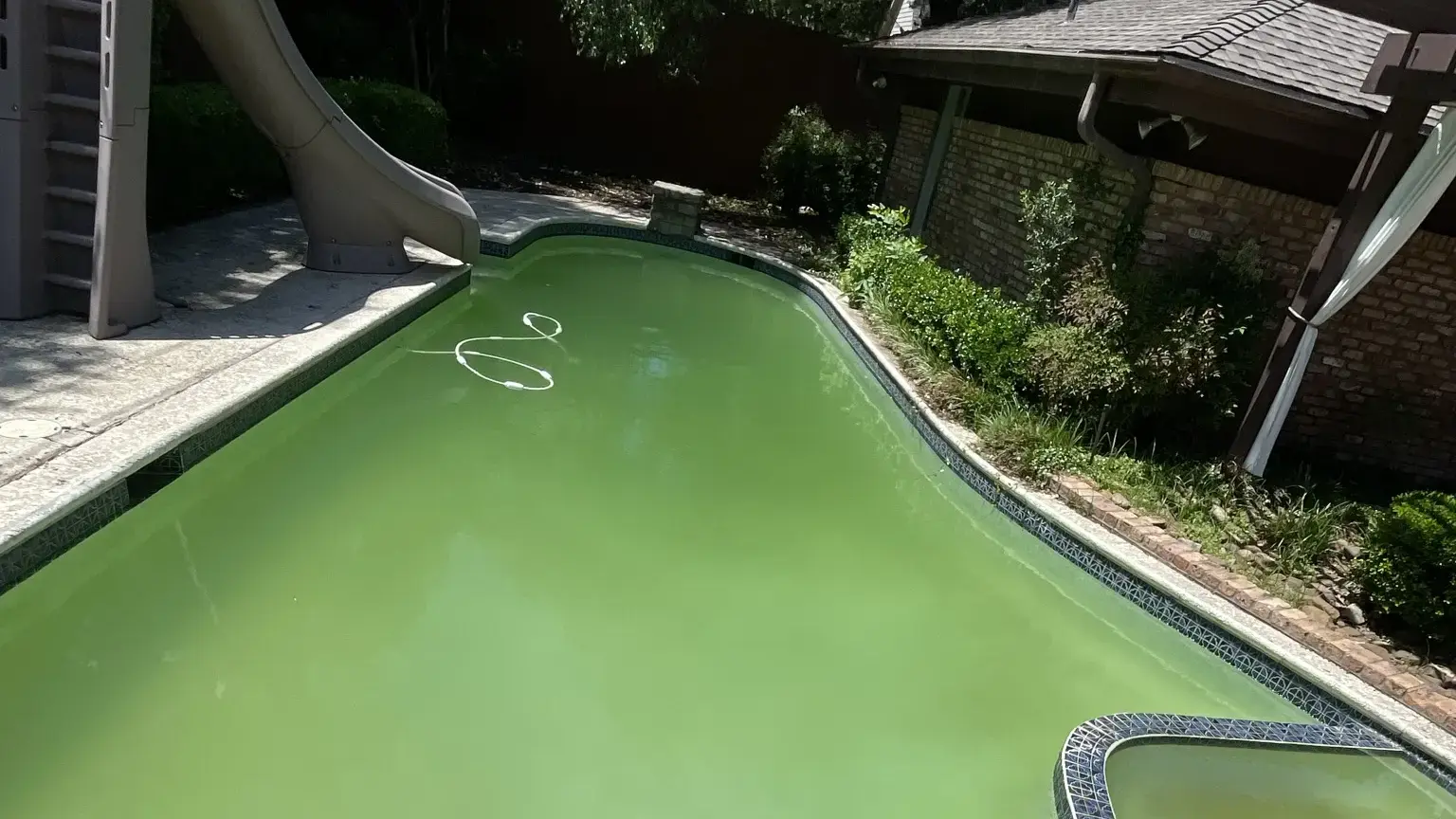 Pool with slide filled with bright green algae before treatment